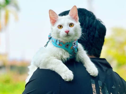 adjustable no pull harness for cats