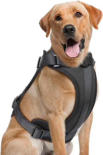 No Pull Lightweight Adjustable Dog Harness, Durable Breathable Mesh Dog Vest Harness with Soft & Comfortable Cushion