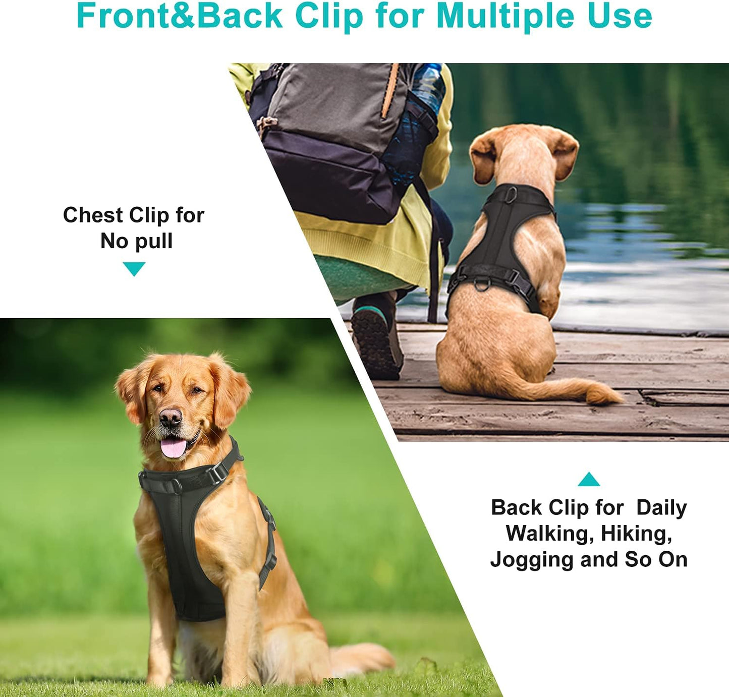 No Pull Lightweight Adjustable Dog Harness, Durable Breathable Mesh Dog Vest Harness with Soft & Comfortable Cushion