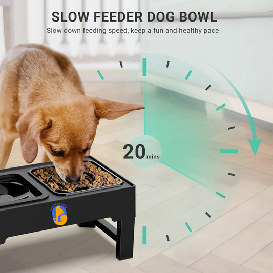 Elevated Dog Bowls – 4 Height Adjustable Raised Stand with Stainless Steel or Slow Feeder Bowl & No Spill Water Bowl | Non-Slip Dog Feeding Station for Small Medium Large Dogs