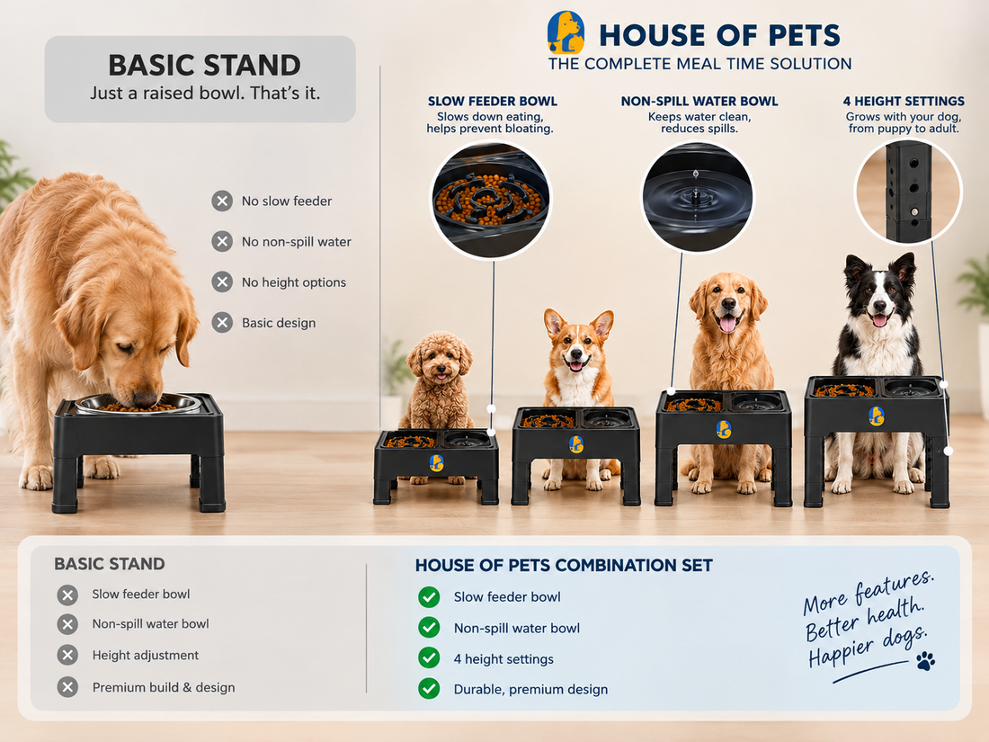 Budget vs. Premium Elevated Dog Bowls: Is the Price Gap Worth It?