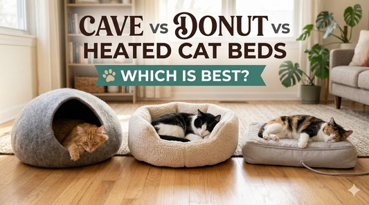 Cave vs Donut vs Heated Cat Beds: Which Is Best?