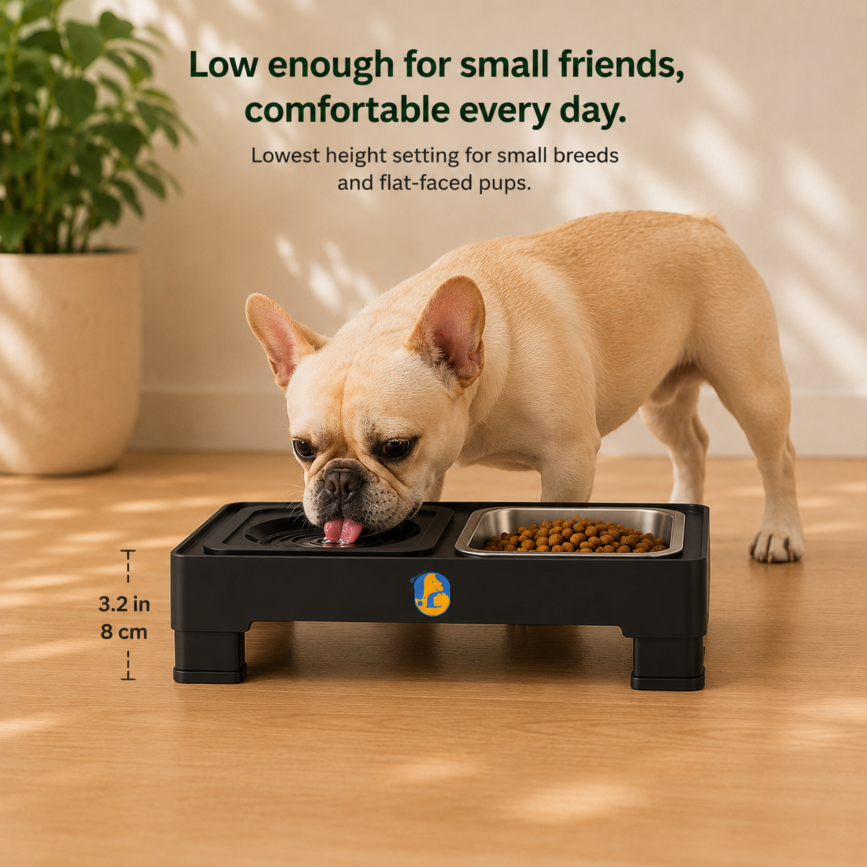 Best Elevated Dog Bowl for Small Dogs