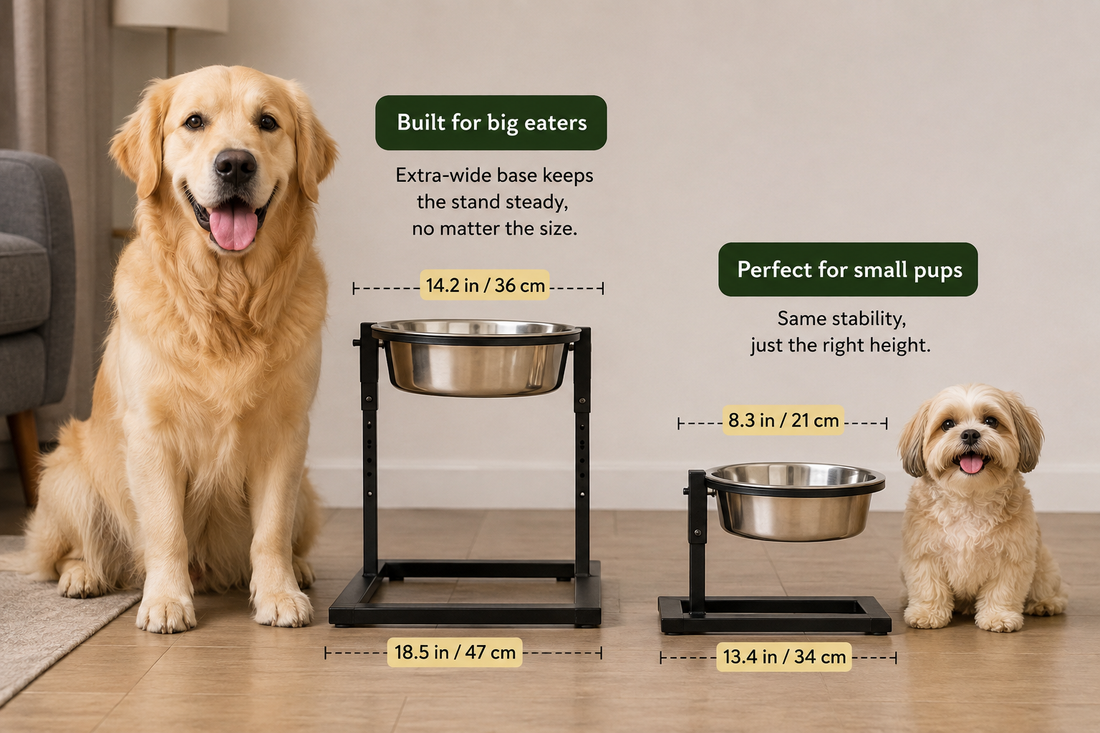 Best Elevated Dog Bowl for Large Dogs