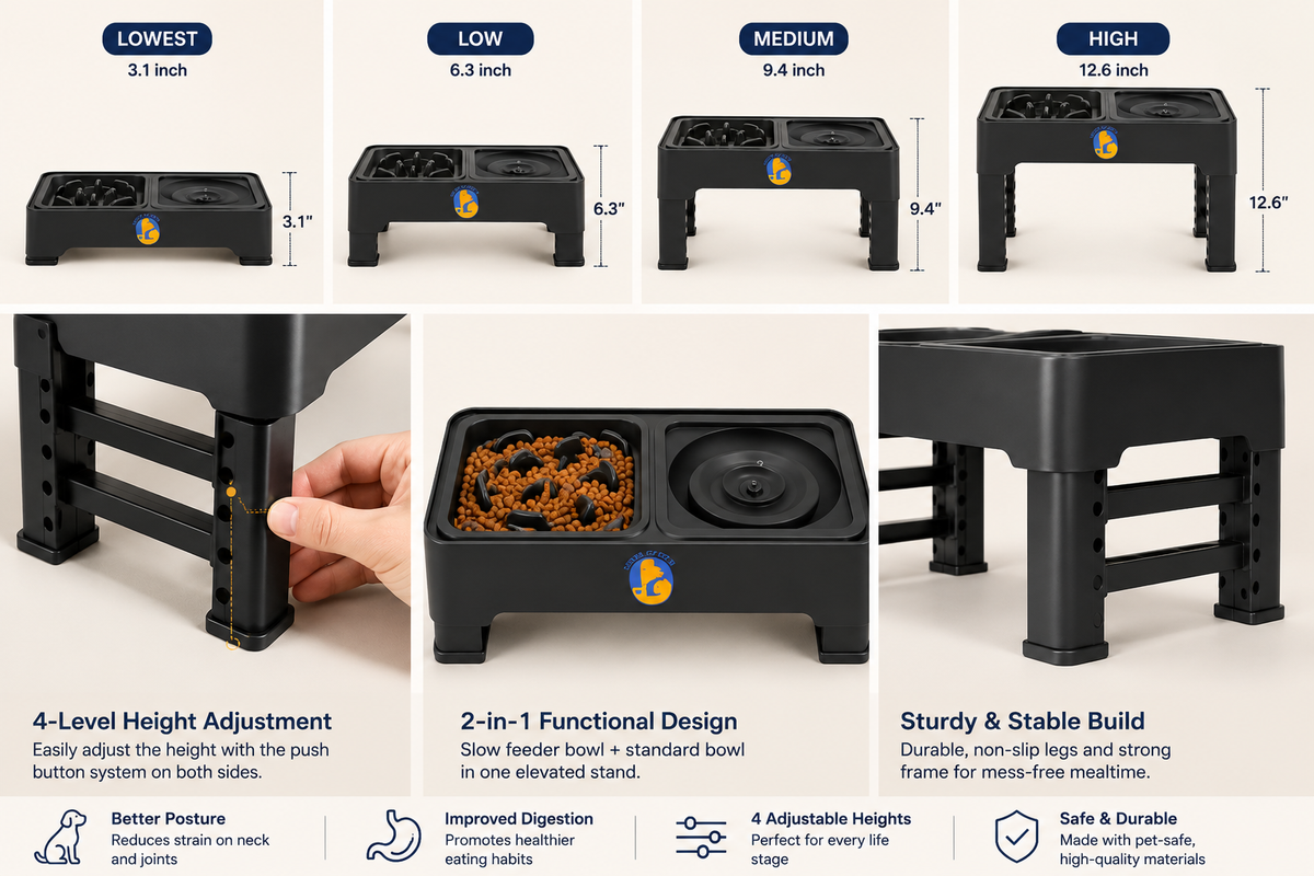 Best Adjustable Elevated Dog Bowls Available Online in India (2026)