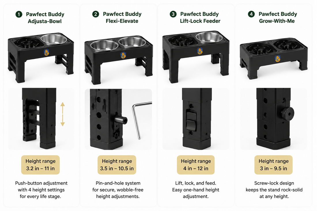 Best Adjustable Elevated Dog Bowls Available Online in India (2026)