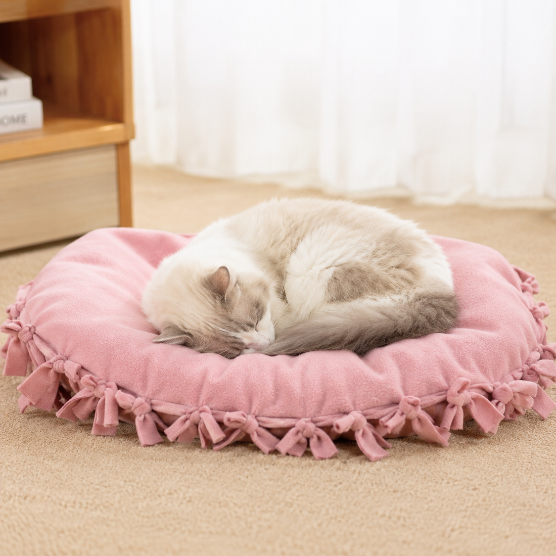 No-Sew Cat Bed Ideas: 4 Quick, Easy Options