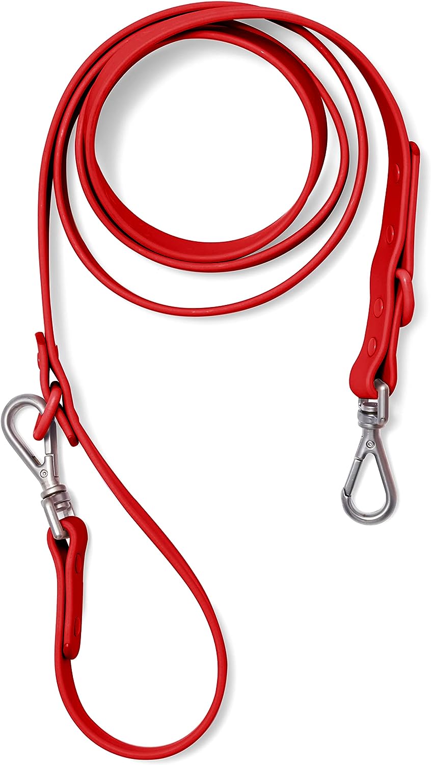 red leash for dogs