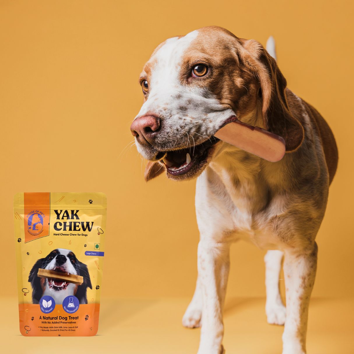 Himalayan Yak Cheese Dog Chews – Long Lasting Vegetarian Chew for Aggressive Chewers | 100% Natural Rawhide Free Dental Treat | No Grain, No Gluten, No Preservatives | Teething Puppies & Adult Dogs