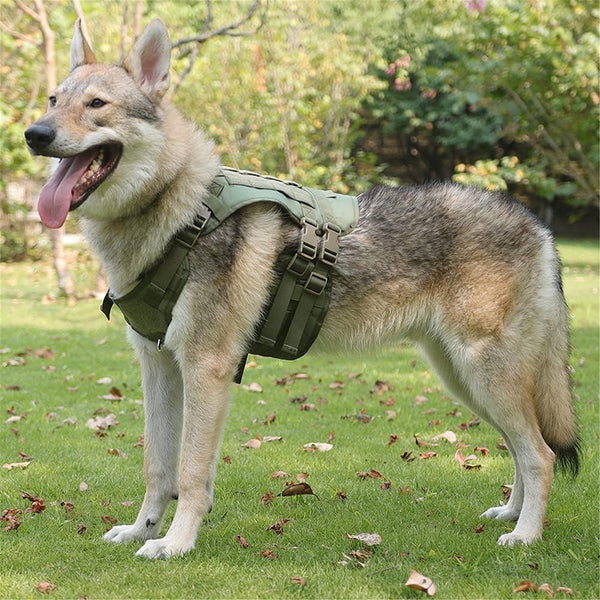 Tactical Dog Harness No Pull – Heavy Duty Military Grade Vest with MOLLE Panels & Easy Control Handle | Adjustable Service Dog Harness for Training Walking | Medium Large Dogs – German Shepherd, Labrador