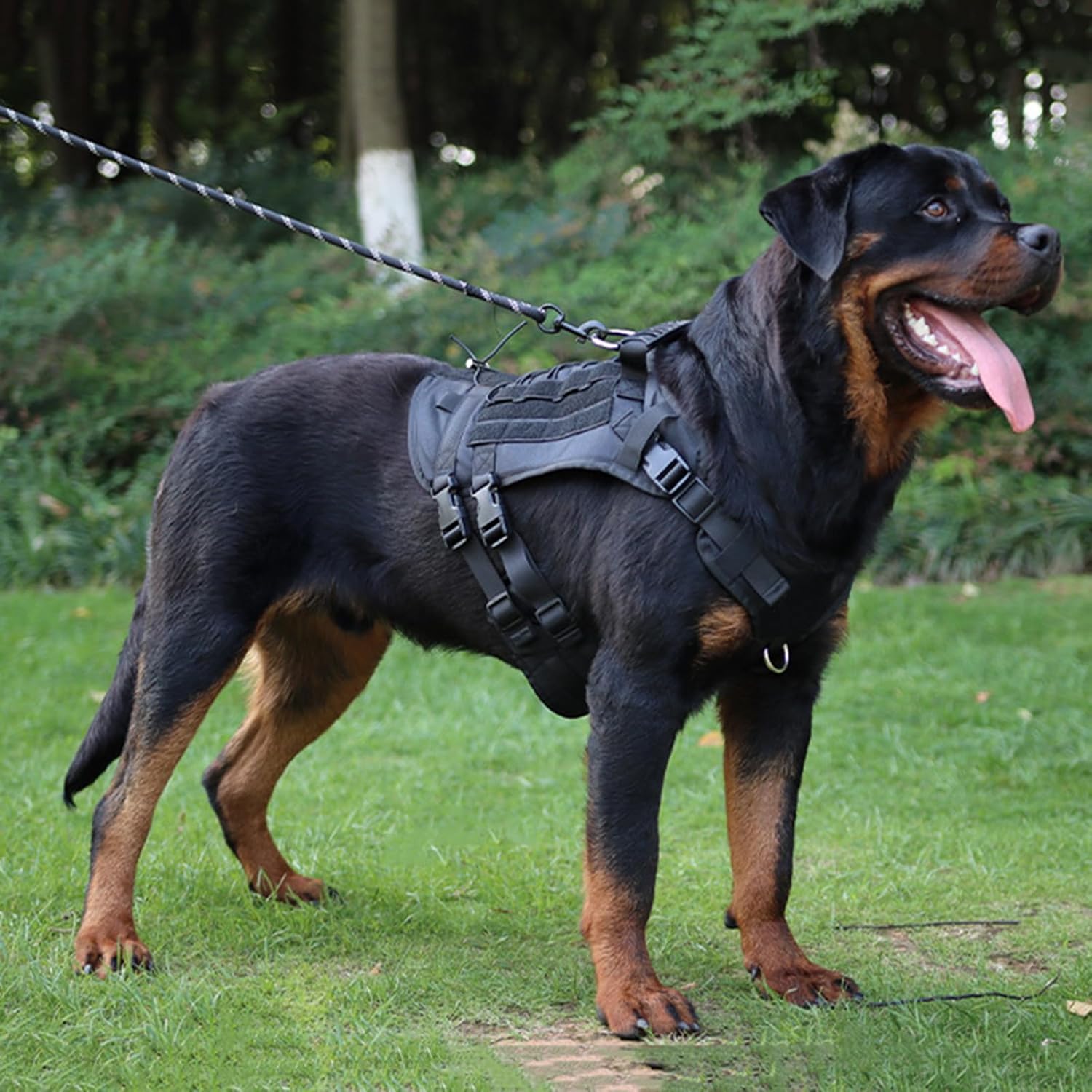Tactical Dog Harness No Pull – Heavy Duty Military Grade Vest with MOLLE Panels & Easy Control Handle | Adjustable Service Dog Harness for Training Walking | Medium Large Dogs – German Shepherd, Labrador