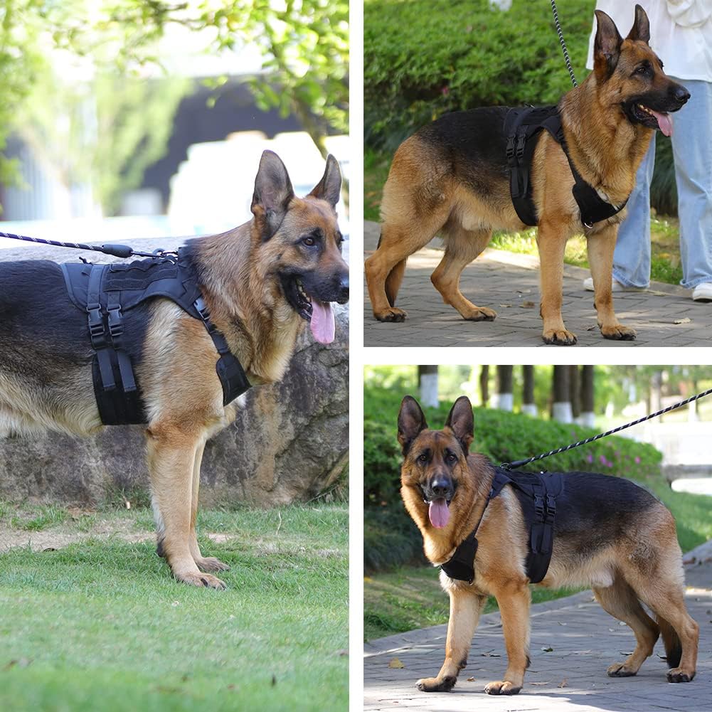 Tactical No Pull Adjustable Harness for Dogs, Military Grade with Molle Panels Easy Control with Handle