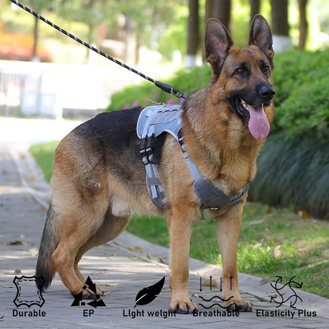 Tactical Dog Harness No Pull – Heavy Duty Military Grade Vest with MOLLE Panels & Easy Control Handle | Adjustable Service Dog Harness for Training Walking | Medium Large Dogs – German Shepherd, Labrador