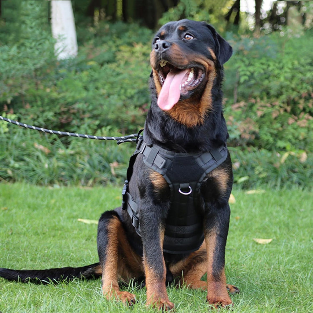 Tactical Dog Harness No Pull – Heavy Duty Military Grade Vest with MOLLE Panels & Easy Control Handle | Adjustable Service Dog Harness for Training Walking | Medium Large Dogs – German Shepherd, Labrador
