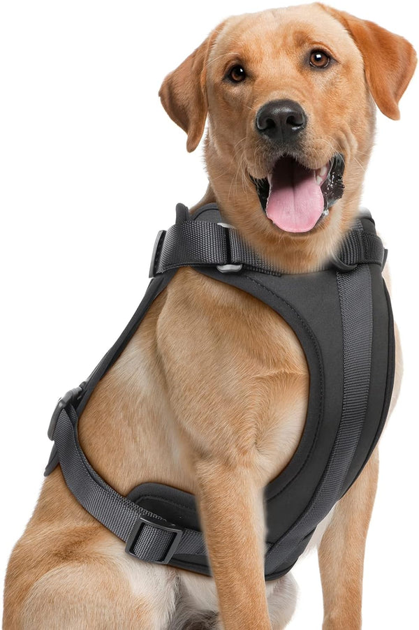 No Pull Dog Harness – Escape Proof Adjustable | No Choke Soft Cushion Step-in Harness for Small Medium Large Dogs | Walking Training