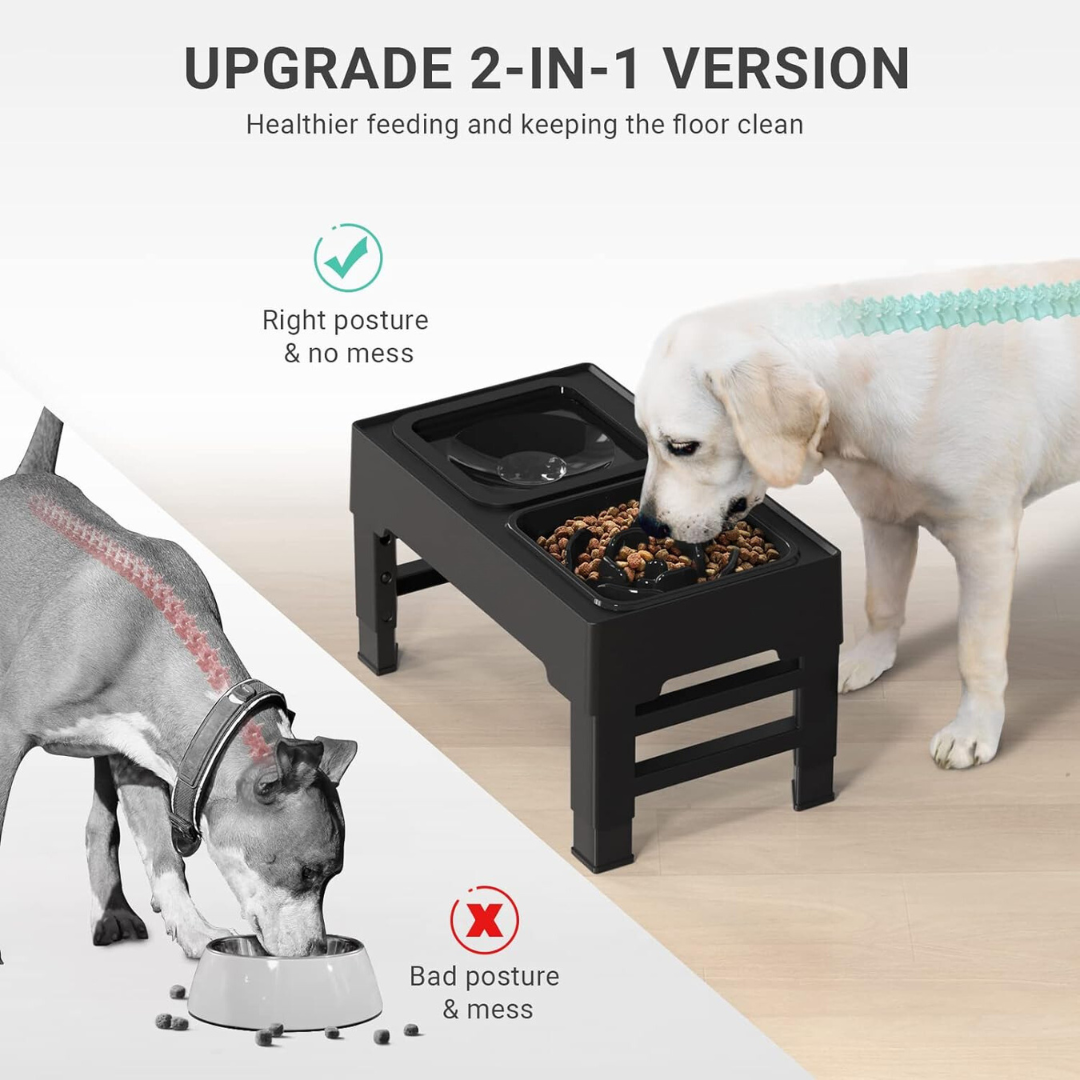 Elevated Dog Bowls – 4 Height Adjustable Raised Stand with Stainless Steel or Slow Feeder Bowl & No Spill Water Bowl | Non-Slip Dog Feeding Station for Small Medium Large Dogs
