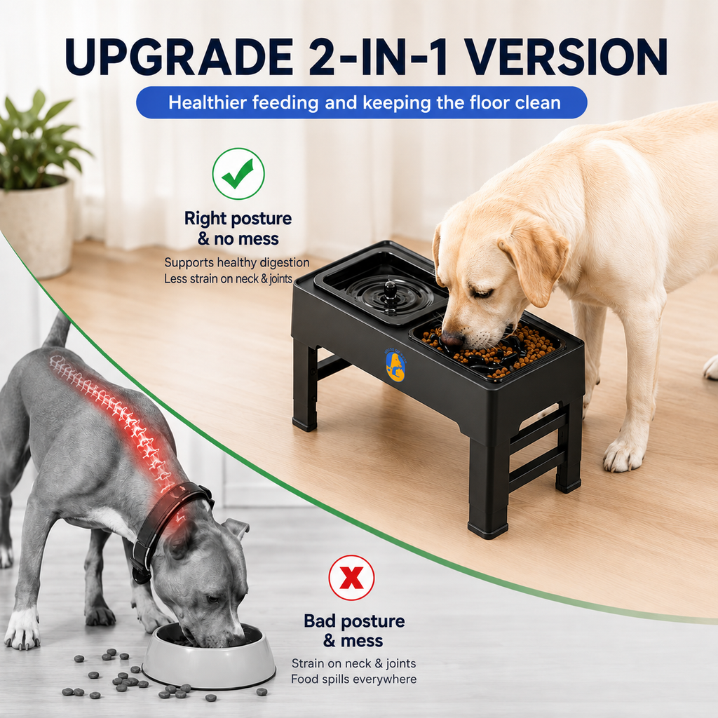 Elevated Dog Bowls – 4 Height Adjustable Raised Stand with Stainless Steel or Slow Feeder Bowl & No Spill Water Bowl | Non-Slip Dog Feeding Station for Small Medium Large Dogs