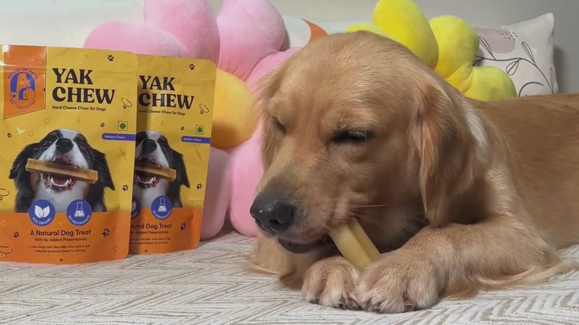 Himalayan Yak Cheese Dog Chews – Long Lasting Vegetarian Chew for Aggressive Chewers | 100% Natural Rawhide Free Dental Treat | No Grain, No Gluten, No Preservatives | Teething Puppies & Adult Dogs