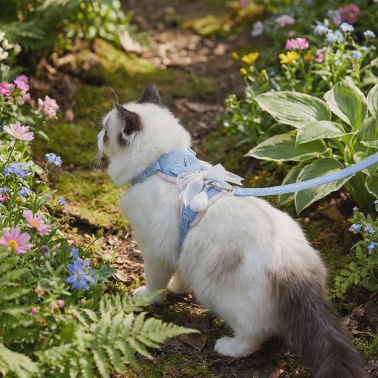 matching cat harness and leash set in bunny style The vest-style harness features breathable mesh fabric and adjustable straps, paired with a durable nylon leash attached to a secure metal D-ring