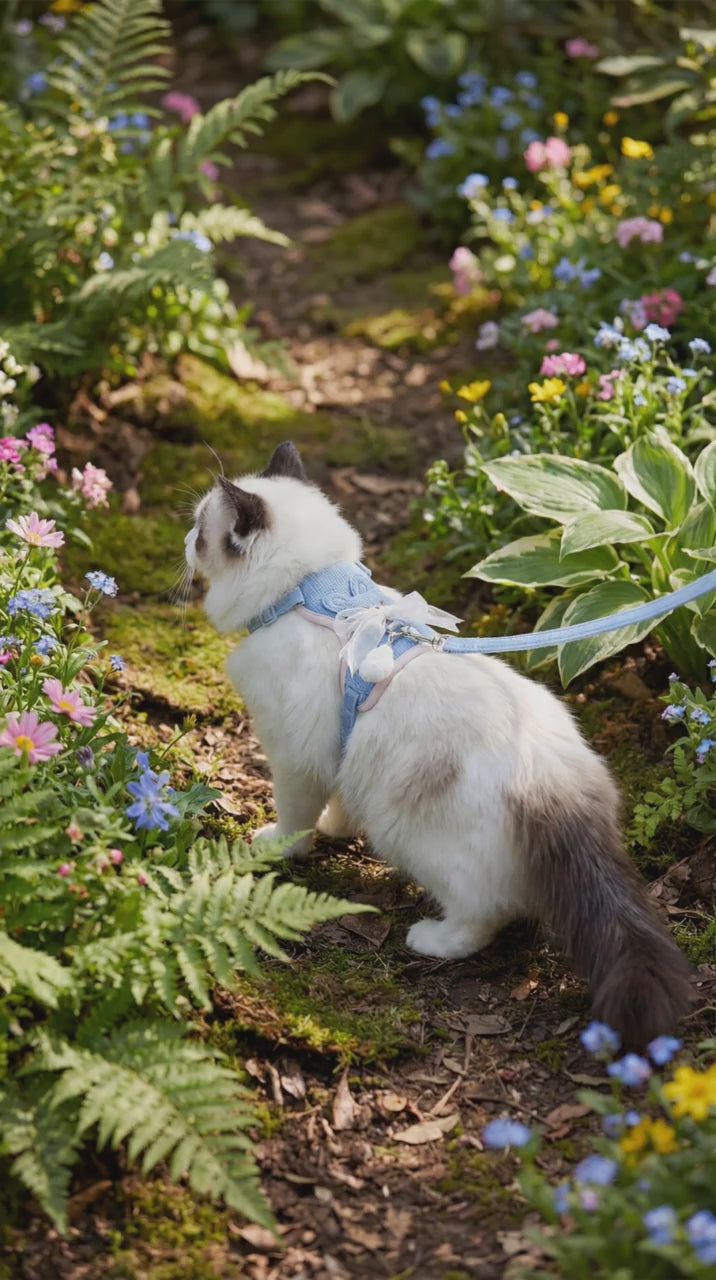 matching cat harness and leash set in bunny style The vest-style harness features breathable mesh fabric and adjustable straps, paired with a durable nylon leash attached to a secure metal D-ring