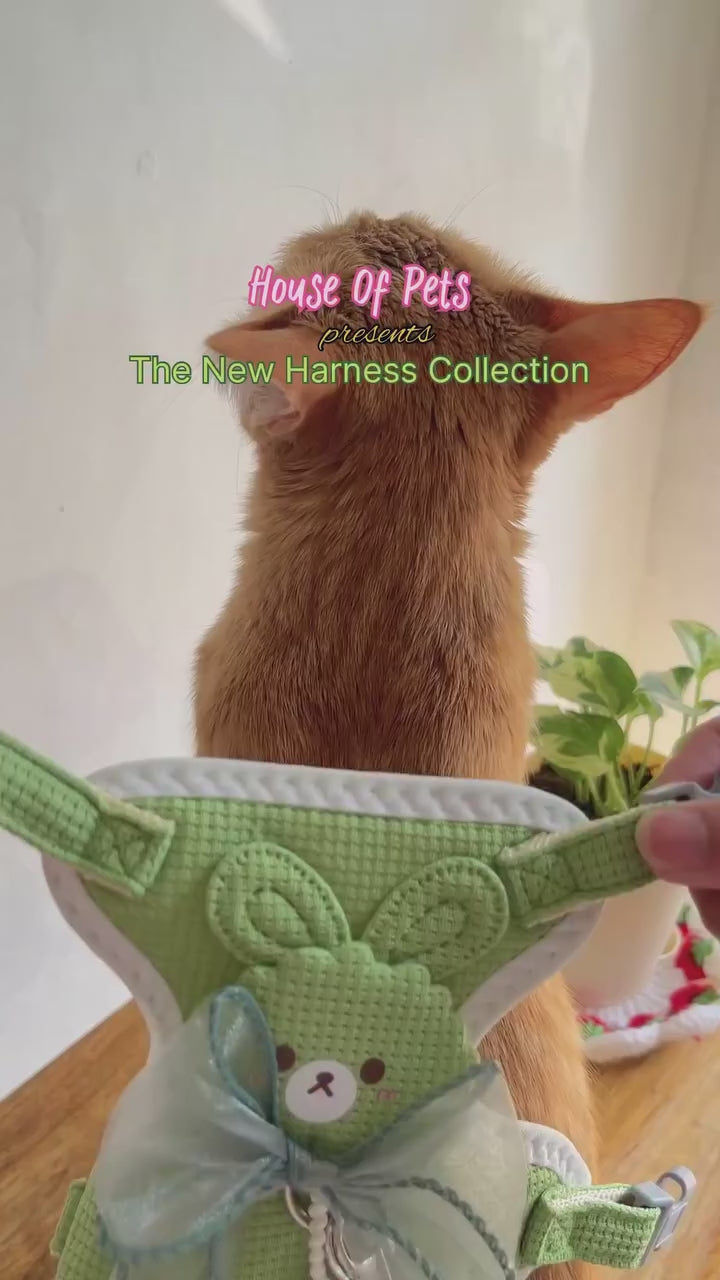 Cat Harness and Leash Set – Escape Proof Cute Bunny Design with Bow, Soft Breathable Adjustable Vest Harness, No Pull No Choke Walking Harness for Small, Medium, Large Cats and Kittens