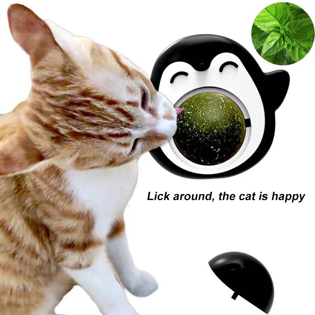 Rotatable Catnip Balls, Adorable Ice Cream Cat Toy, Safe Edible Cat Toys for Indoor Cat Kittens Chewing and Licking Playing